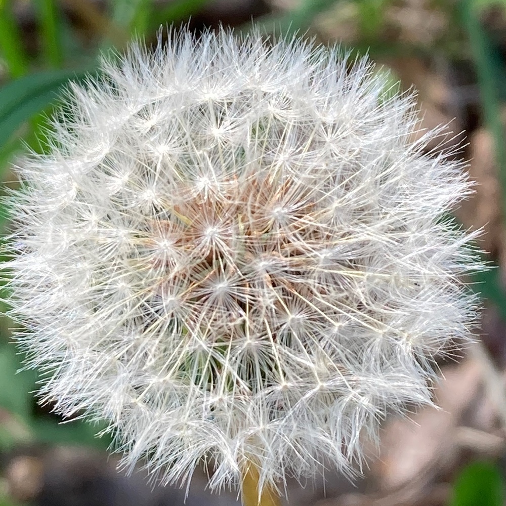 Meet your Posher, Lee